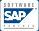 SAP Software Partner